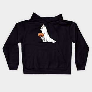 Trick or treat Kids Hoodie